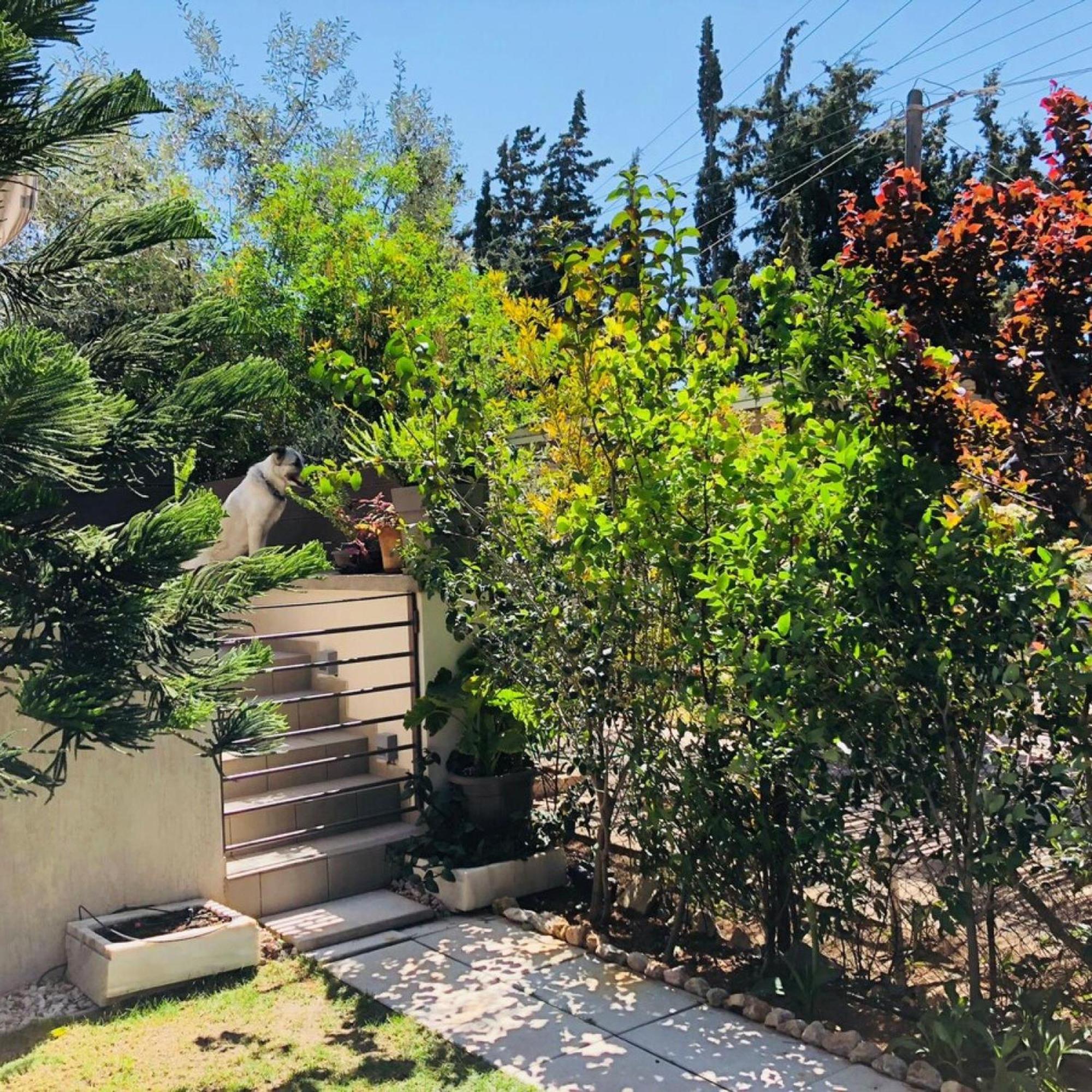 Azure House At Lagonissi 라고니씨 외부 사진